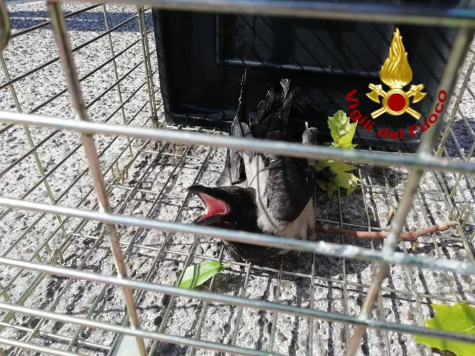 eee1cbcf-acc2-4202-af18-6a3ac99538ce