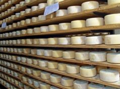 Coldiretti Sardegna, record di vendite per il Pecorino etico solidale