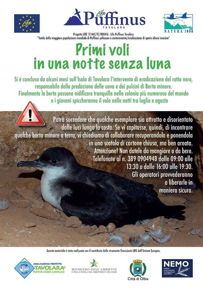 37385019_10217374806824394_6861233611392155648_n