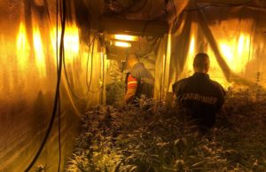 Maxi sequestro di droga: 31enne aveva in casa anche armi e soldi falsi