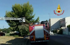 Monserrato, cede grosso ramo di un albero: in azione i Vigili del fuoco