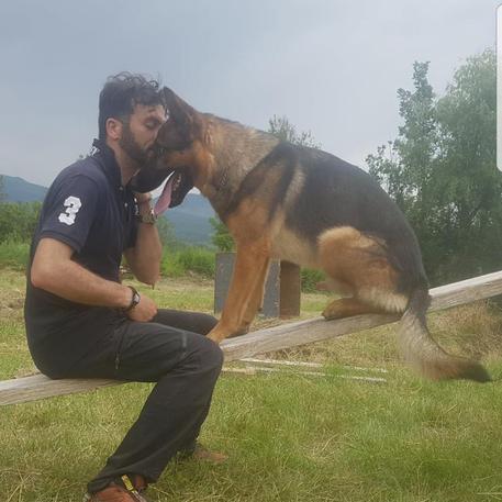 ++ Sisma: trovato morto avvelenato cane-eroe di Amatrice ++