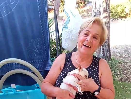 38085679_10214636680544226_2215239454333861888_n