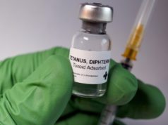 Estate: da tetano a tigna, 5 infezioni trasmesse da animali