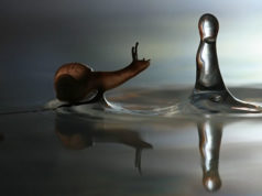 Farmaci e cosmetici bava lumache, parte progetto in Sardegna