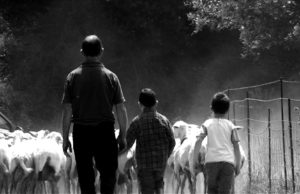 I Veterinari della Sardegna appoggiano la protesta dei pastori sardi