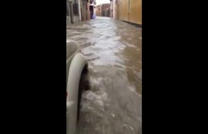 Maltempo, nubifragio colpisce Serramanna: strada diventa fiume in piena