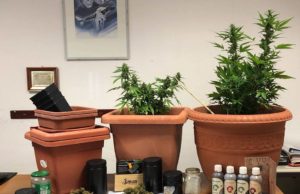 Aveva in casa marijuana e denaro contante: arrestato un 27enne a Villasimius