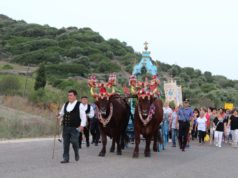 Fuochi d’artificio e trattori bardati a festa per la sagra campestre di Santa Maria Cracaxia
