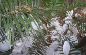 Cagliari, discarica a cielo aperto a Genneruxi, denuncia dei residenti