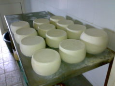 Via libera a nuovo disciplinare produzione Pecorino Romano