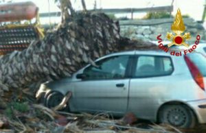 Cagliari, attimi di paura in via Calafatti: palma cade su un’auto