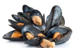 Cozze dalla Spagna, contaminate da salmonella: allarme in Italia
