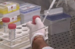 Uccisa e sepolta da ex: riprendono le analisi tossicologiche sul corpo di Speranza Ponti