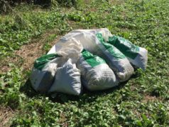 Con 25 kg di marijuana scappa da fermo carabinieri: arrestato