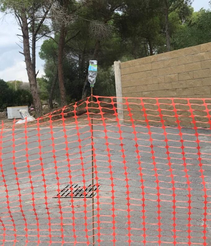 43074565_10215217822151955_2144170845235314688_n