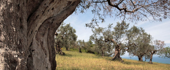 5516d9e6-17a5-4266-b44e-d84a088e37c8