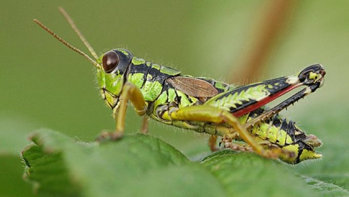 mir_alp1-kzO-UKpby5RRRTfVMK6-1024x576@LaStampa.it_