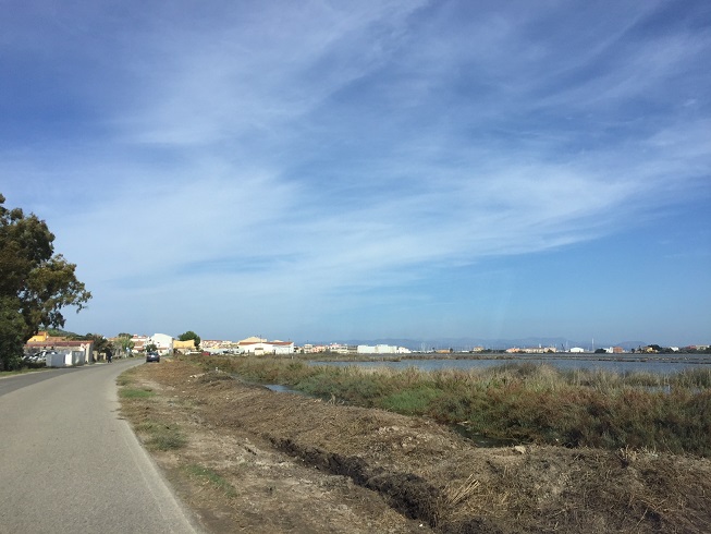 Carloforte-taglio-vegetazione-lungo-strada-Saline-nov.-2018