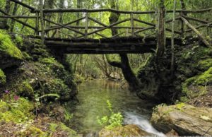 ‘Vita da Elfi’, weekend di yoga nella foresta di Montarbu. Dal Comune di Seui arriva il marchio di qualità