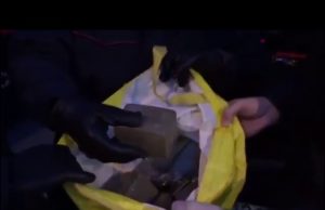 Salvini: “Maxi-blitz alle torri di Zingonia, trovati clandestini e chili di droga”