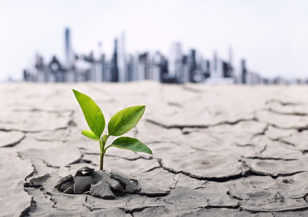 ae406bcb3de3e4c0fb273f31d506e128