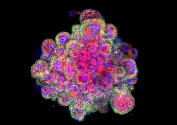 761dccc4a72c7aa80a3a74af97a59786