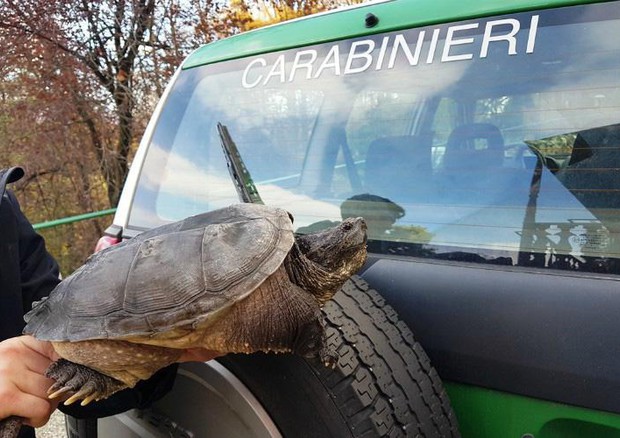 67957031f223bd405d49f5643577f4f4