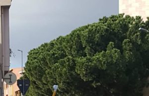 Monserrato, ex sindaco: “Degrado in via Del Redentore. Dov’è il Commissario?”