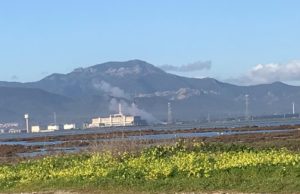 Capoterra, i cittadini denunciano: “Da giorni forti miasmi nella zona”
