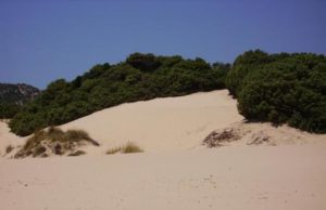 Chia, raccolti 60mila euro per salvare le dune