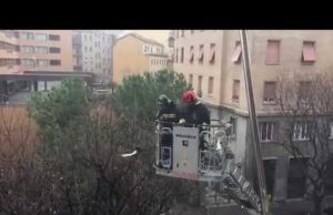 Piccione salvato dai vigili. Gabanelli: “Mi occupo di miserie, questo fatto trascurabile mi dà felicità”
