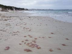 Balneari: Consiglio al lavoro per operatività in inverno