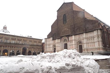 neve bologna