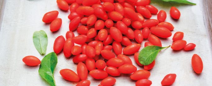 come-si-mangiano-le-bacche-di-goji-fresche