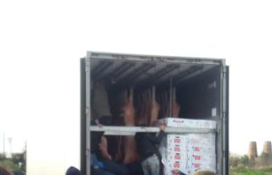 Latte, Porto Torres, assalto a camion francese, gettata carne e prodotti suini