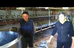 Assemini, Milena e Antonello regalano il latte alla comunità L’Aquilone