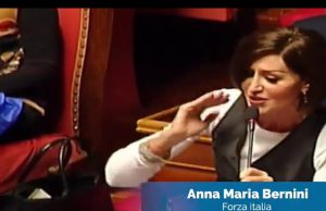 Reddito cittadinanza, la protesta di Forza Italia: senatori indossano i gilet blu