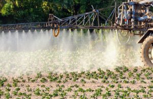 Nuova sconfitta legale per la Monsanto: “L’erbicida Roundup causa il cancro”