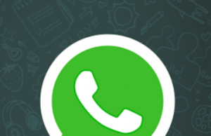 WhatsApp, contro le fake news in arrivo ricerca per immagini