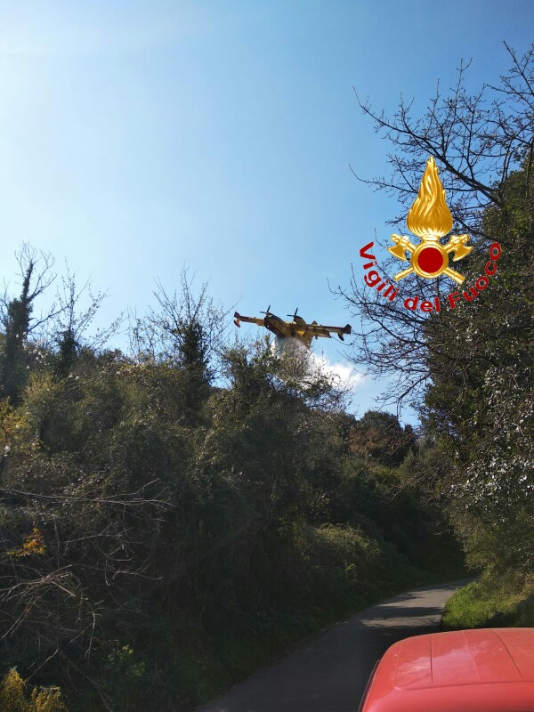 1d33d7a1-7cae-4ece-bd59-b47bc8807104-1