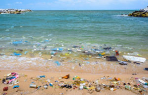Campo Progressista Sardegna per Cagliari free plastic