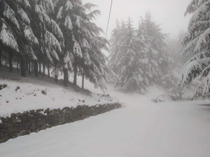 FB_IMG_1553676132937