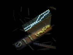 Molecole di Dna si assemblano in un computer vivente