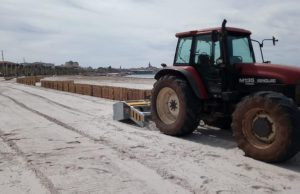 Alghero, al via la rimozione delle banquette di posidonia spiaggiata