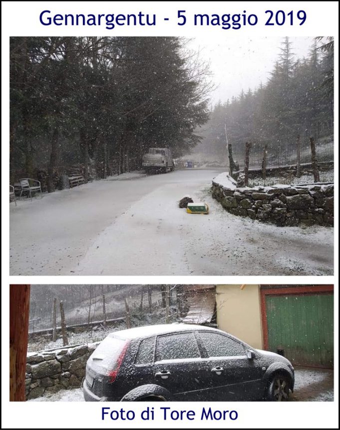 60011182_10216693042632498_5856865207258710016_n