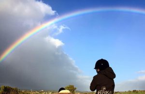 Cagliari, il 9 maggio al campo Rossi convegno sui benefici dell’ippoterapia
