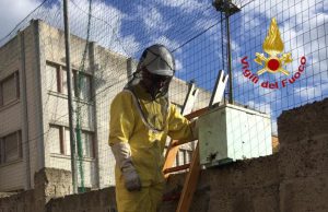 Cagliari, recuperato un nido di api a Is Mirrionis