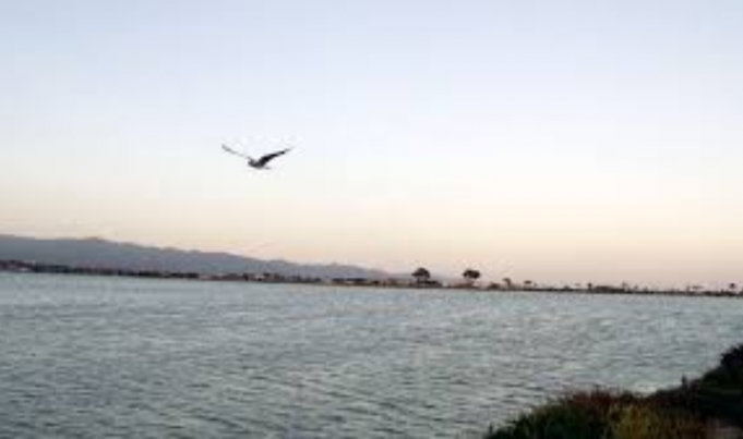 lungomare-saline-quartu