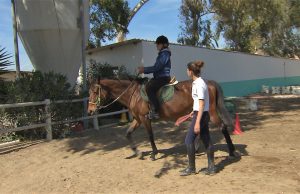 Ippoterapia e integrazione sportiva: la Sardegna in prima linea per la sclerosi multipla